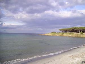 VILLA A 200 METRI DALLA SPIAGGIA img55