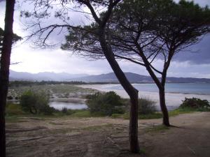 VILLA A 200 METRI DALLA SPIAGGIA img58