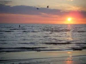 skummeslöv B & B - Skummeslöv