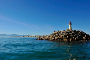 Hotels Hotel du Port : photos des chambres