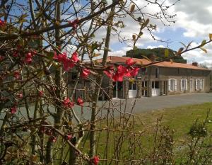 Maisons de vacances Gites de la noue : photos des chambres