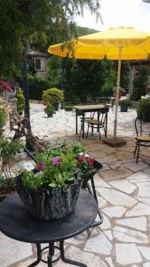 Althea Guesthouse Zagori Greece