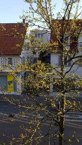 Zimmer in Schorndorf