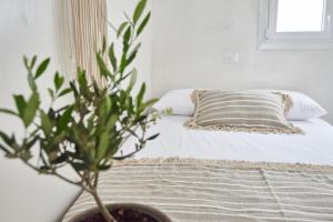 Blanco Rooms Mykonos Myconos Greece