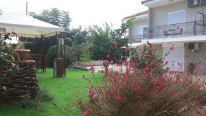 Alba Boutique Apartments