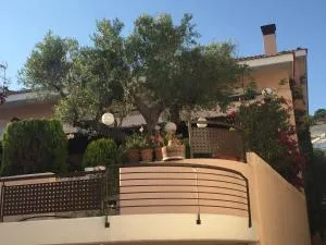 Magic Mola - Mola Kalyva