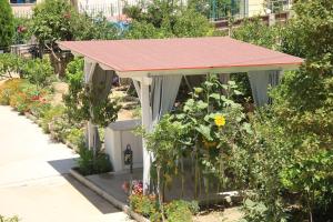 ​ The Dolphin Apartments