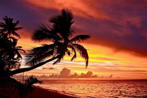 Main Road, Amuri Village, Arutanga PO BOX 59, Cook Islands.