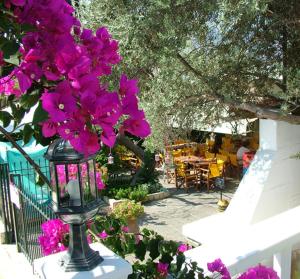 Villa Dolphins Poros-Island Greece