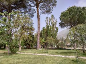 Palmyra Beachfront Studios Lefkada Greece