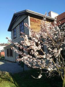 Hotel Hostel FOLKier Zgierz Polsko