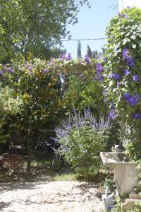 Appartements La Roseraie Camarguaise : photos des chambres