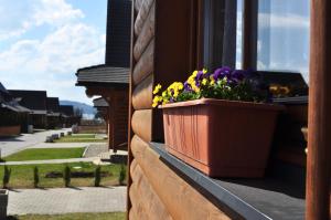 Chalupa na Liptove - Chata pri Mare