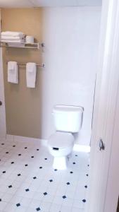 King Room - Disability Access room in Quality Inn & Suites