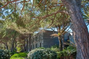 Hotels Hotel & Lodges Moby Dick : photos des chambres