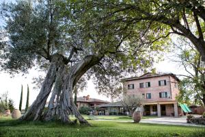 3 stern hotel Locanda Poggioleone Castiglione del Lago Italien