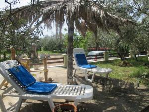 Elena's House Garden Thassos Greece