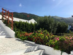 Azorean Cottage São Jorge