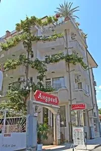 Family Hotel Andreev - 内塞伯尔