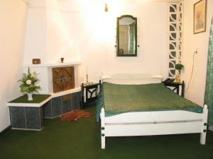 Double Room room in Pensiunea Ana Maria