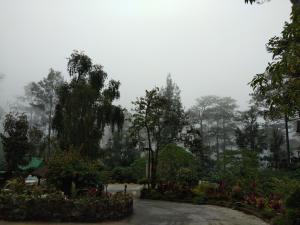 Log Cabin Hotel - Baguio