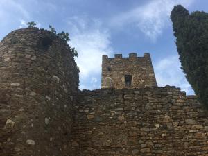 Maisons de vacances Maison Minervois : photos des chambres