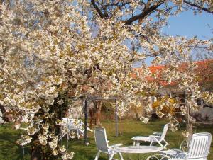 B&B / Chambres d'hotes La Longere des Gillettes : photos des chambres