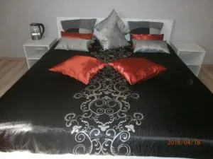 Mini Hotel na Gasheka - 鲍里斯皮尔