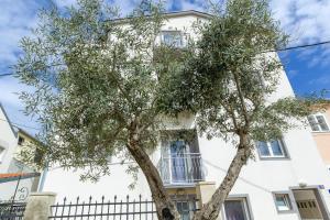 Apartments in city center Ventus 