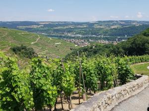 Hotels Hotel Le Domaine des Vignes Ampuis Lyon Sud Vienne : photos des chambres