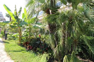 Le Corinthe studio apartment