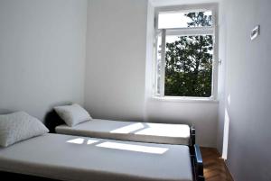 Apartment Dunja Djenovici