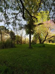 Sejours chez l'habitant Chateau de Champblanc : photos des chambres