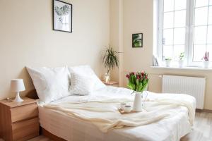 Apartman Apartament Ogarna dla 6 os&oacute;b w Centrum Star&oacute;wki Gdańsk Lengyelorsz&aacute;g