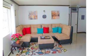 Coconut Shell At Turtle Towers