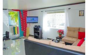 Coconut Shell At Turtle Towers