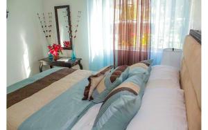 Coconut Shell At Turtle Towers