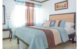 Coconut Shell At Turtle Towers