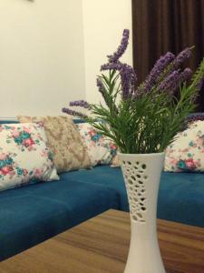 Zübeyde Hanım Homes