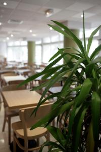 B&B HOTEL Paris Malakoff Parc des Expositions