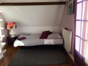 B&B / Chambres d'hotes L'Anctovilliere : photos des chambres