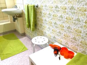 Appartements Gite Le Vintage Mulhouse : photos des chambres