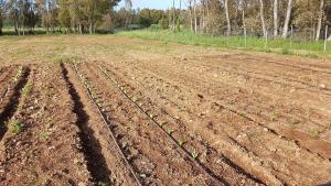 Guesthouse Pintadera img30