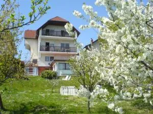 Apartman Berki - Négyszögmajor