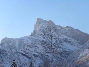 Appartements Chalet des Cascades : photos des chambres