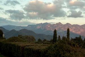 Dimore De Luca- San Martino