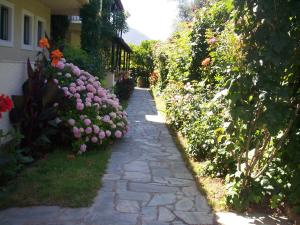 The Mayflower Studios & Apartments Corfu Greece