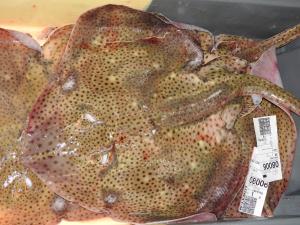 Appartements Maison Rouge : photos des chambres