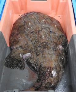 Appartements Maison Rouge : photos des chambres