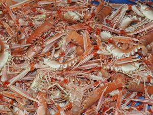 Appartements Maison Rouge : photos des chambres